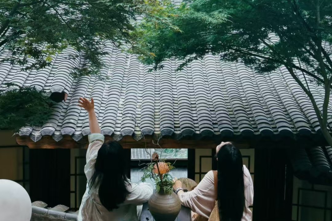 松离旧事